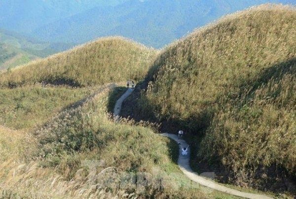 Kỳ vĩ thiên đường lau miền biên viễn ảnh 1