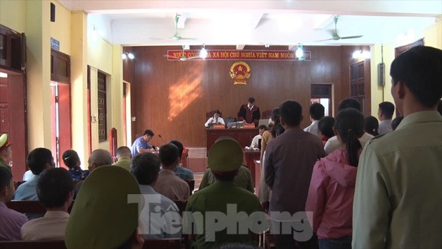 Bản án lạ lùng: 28 bị cáo phá rừng ở Lạng Sơn đều được hưởng án treo ảnh 1