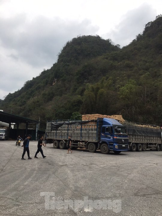 Container chở hoa quả nhộn nhịp qua cửa khẩu Tân Thanh ảnh 4