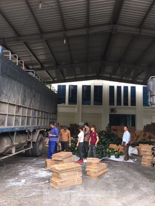 Container chở hoa quả nhộn nhịp qua cửa khẩu Tân Thanh ảnh 3