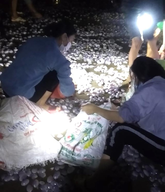 Hàng trăm người mang đèn pin đi vớt 'lộc trời' sau bão số 8 ảnh 4