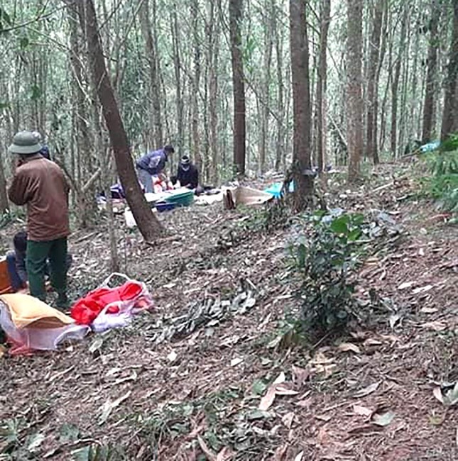 Vụ phát hiện thi thể bị nhiều vết đâm trong rừng keo: Triệu tập nghi phạm ảnh 1