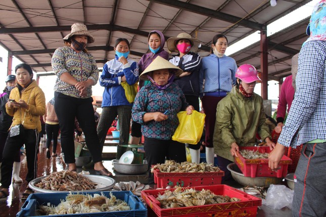 Cảng cá Lạch Vạn đông đúc, người dân thờ ơ với khẩu trang giữa đại dịch ảnh 2
