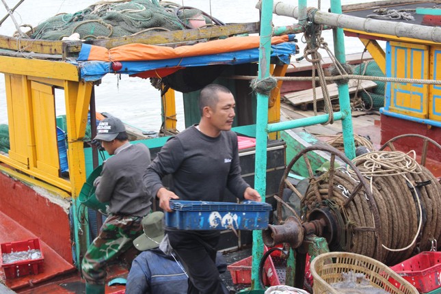 Cảng cá Lạch Vạn đông đúc, người dân thờ ơ với khẩu trang giữa đại dịch ảnh 3