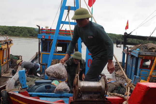 Cảng cá Lạch Vạn đông đúc, người dân thờ ơ với khẩu trang giữa đại dịch ảnh 8