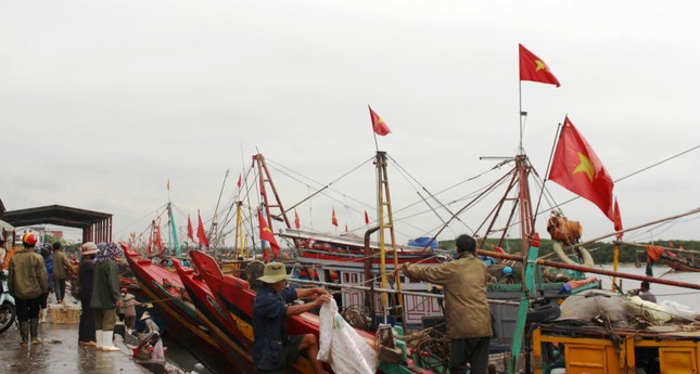 Cảng cá Lạch Vạn đông đúc, người dân thờ ơ với khẩu trang giữa đại dịch ảnh 10