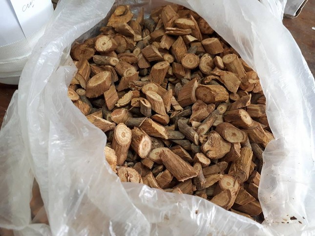 Trong rượu có lá ngón? ảnh 3