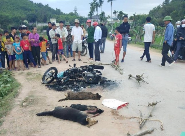 Khởi tố vụ án hai thanh niên nghi trộm chó bị đánh thương vong ảnh 1