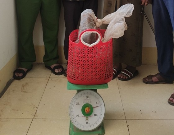 Phát hiện đối tượng vận chuyển hai cá thể rắn ‘khủng’ đi tiêu thụ ảnh 2