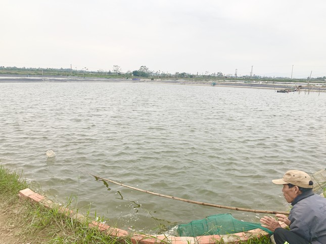 Tôm, cá bị lũ cuốn sạch, người nuôi Hà Tĩnh lâm cảnh trắng tay ảnh 4