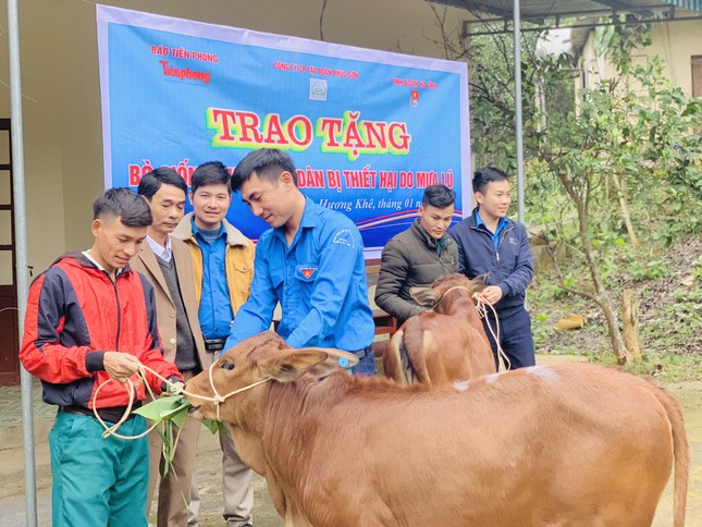 Trao bò giống hỗ trợ bà con vùng lũ Hà Tĩnh ảnh 2