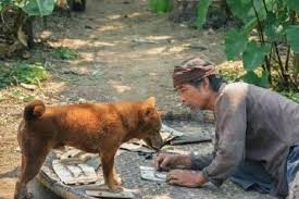 Điện ảnh Việt: Hết bị tẩy chay lại lao đao vì COVID-19 ảnh 1