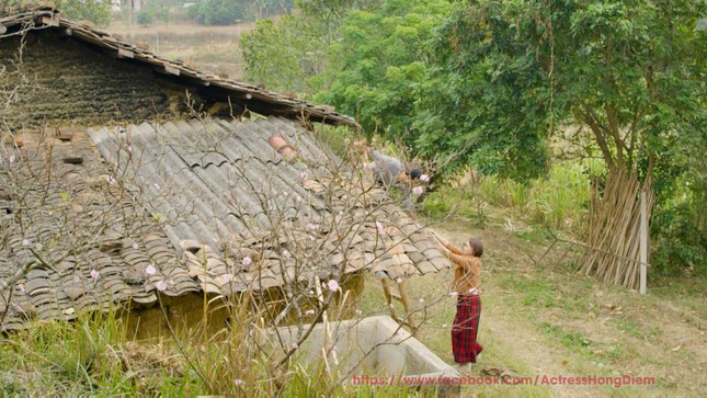 Rò rỉ ảnh lãng mạn của Hồng Diễm-Quốc Đam trong ‘Hướng dương ngược nắng’ ảnh 3