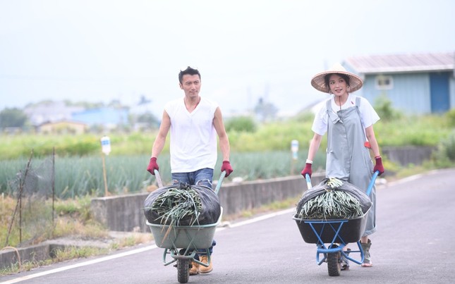 Thư Kỳ - Tạ Đình Phong xắn tay áo… làm nông dân ảnh 3