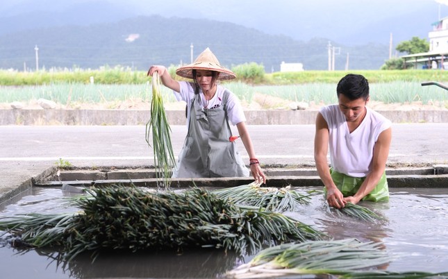 Thư Kỳ - Tạ Đình Phong xắn tay áo… làm nông dân ảnh 2