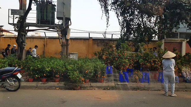 Nhốn nháo 'chợ cóc, chợ tạm' lấn chiếm vỉa hè cuối năm ảnh 5