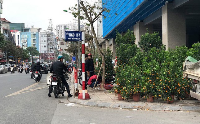 Nhốn nháo 'chợ cóc, chợ tạm' lấn chiếm vỉa hè cuối năm ảnh 6