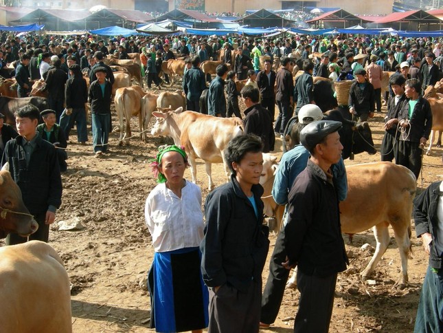 Độc đáo 'trung tâm thương mại' bò ở Mèo Vạc ảnh 2