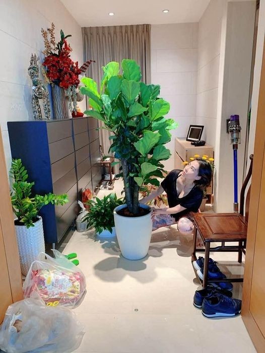Những dự định của “sao” Việt trong đêm Giao thừa: Người đón Tết nơi xứ người, kẻ “chờ đón” những điều mới mẻ ảnh 1