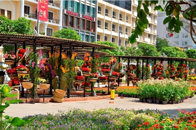 Đường hoa Nguyễn Huệ rực rỡ trước giờ khai mạc ảnh 3