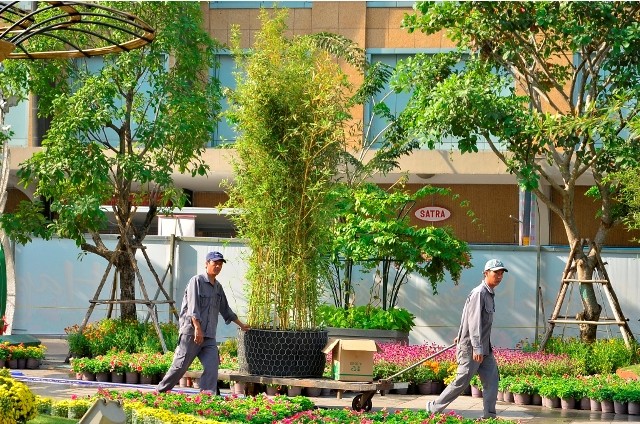 Đường hoa Nguyễn Huệ rực rỡ trước giờ khai mạc ảnh 7