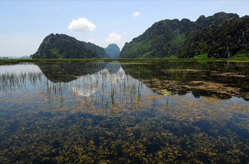 'King Kong' tuyển diễn viên chèo Ninh Bình làm quần chúng ảnh 1