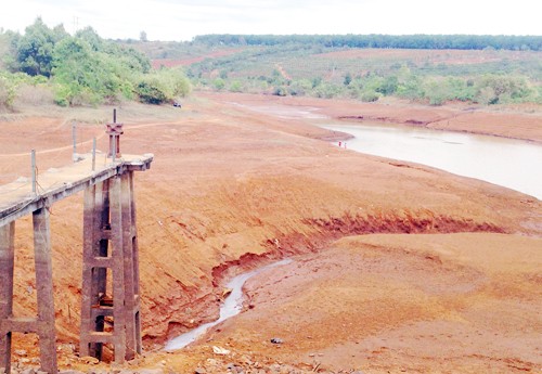 Tây Nguyên trong 'chảo lửa' hạn hán ảnh 1
