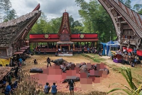 Ngôi làng có tập tục sống với người chết ảnh 1