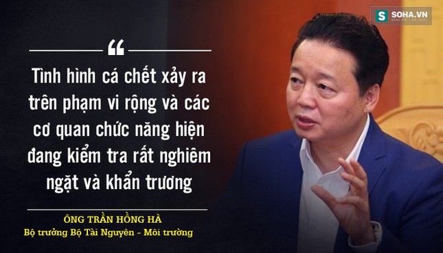 Những câu hỏi lớn trong vụ cá chết trắng biển miền Trung ảnh 1