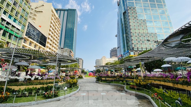 TPHCM cấm xe nhiều tuyến phố phục vụ khai mạc đường hoa Nguyễn Huệ ảnh 2