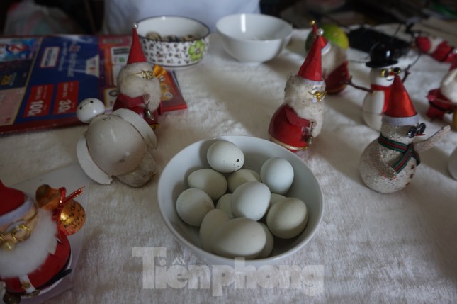 Cụ ông 70 tuổi 'hô biến' vỏ trứng thành ông già Noel độc đáo ảnh 4