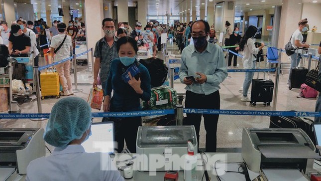 TPHCM lấy mẫu xét nghiệm toàn bộ nhân viên sân bay Tân Sơn Nhất ảnh 1