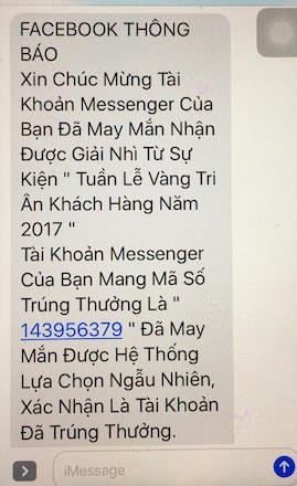 Bị lừa nạp card gần 100 triệu đồng vì tưởng trúng xe SH ảnh 1