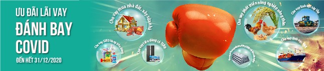 LienVietPostBank triển khai chương trình 'Ưu đãi lãi vay, Đánh bay Covid' ảnh 1