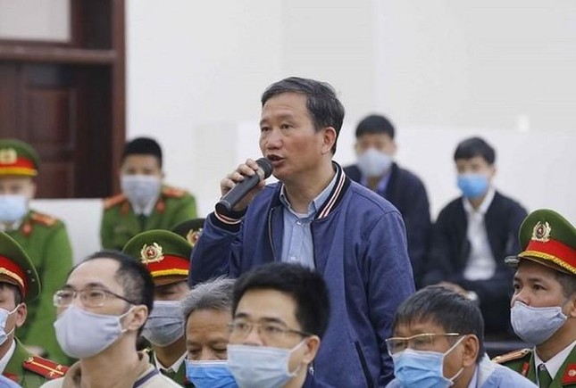 Chủ mới khu biệt thự Tam Đảo liên quan Trịnh Xuân Thanh kháng cáo xin giữ lại đất ảnh 1