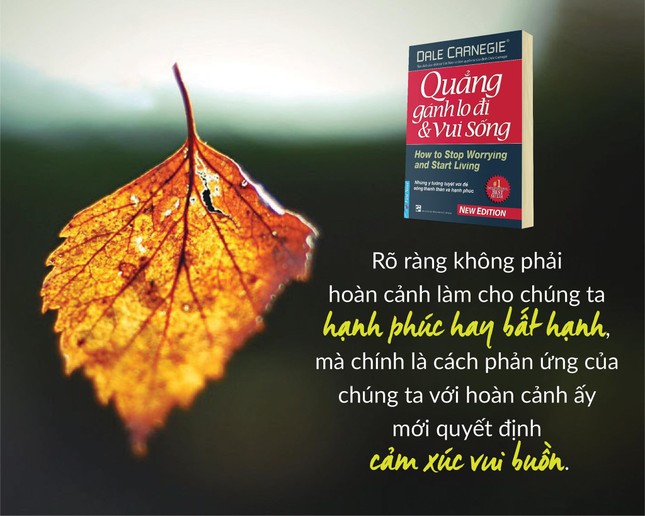 Nữ sinh cấp 3 đạt giải Nhì với cuốn sách ‘Quẳng gánh lo đi để vui sống’ ảnh 1