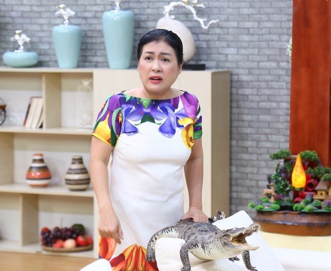COVID-19: Nghệ sĩ than khổ không có show nhưng phải nghĩ nhiều người còn khổ hơn ảnh 1