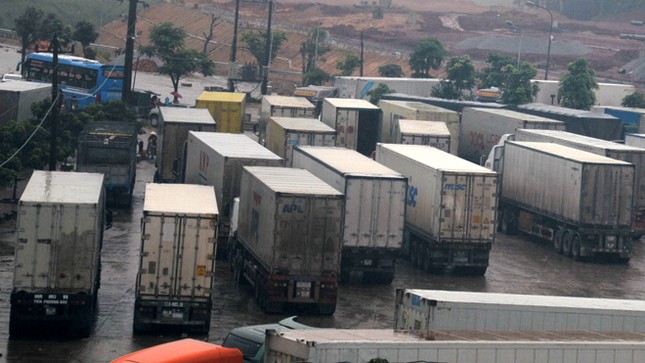 Làm rõ vụ 213 container mất tích, báo cáo Thủ tướng trước ngày 1/12 ảnh 1