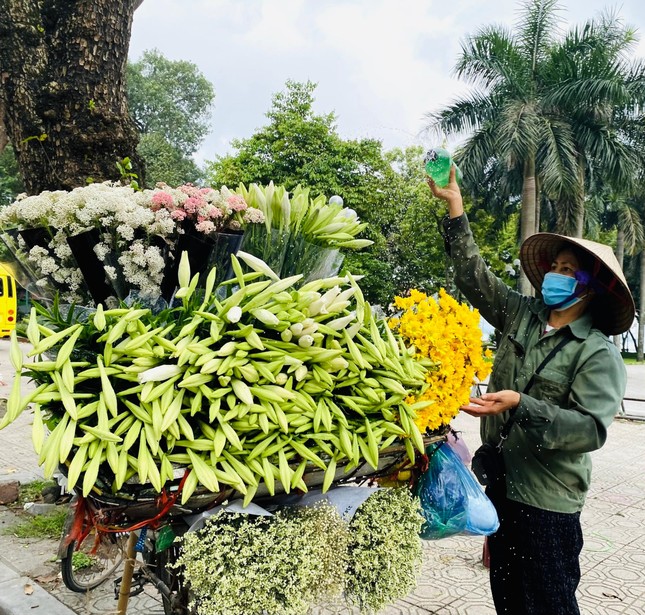 Phố phường Hà Nội lãng mạn với sắc trắng hoa Loa kèn ảnh 6