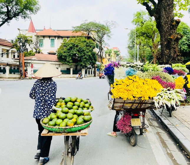 Phố phường Hà Nội lãng mạn với sắc trắng hoa Loa kèn ảnh 3