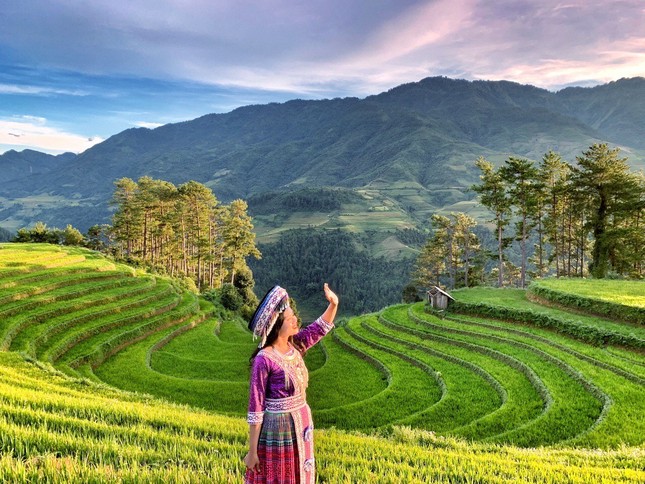 Mùa vàng Mù Cang Chải – Nơi giới trẻ thích xê dịch, mê “check-in” không thể bỏ lỡ ảnh 4