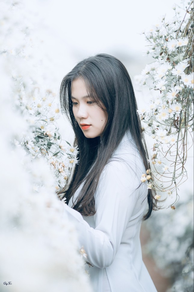 Trưởng thành là một quá trình cô đơn ảnh 4