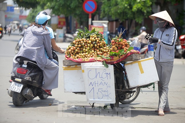 Người lao động nhọc nhằn mưu sinh dưới nắng nóng đầu hè ảnh 1