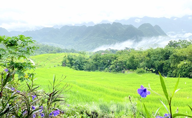 Đi săn mây ở Pù Luông, địa điểm sống ảo cho dân mê xê dịch ảnh 6