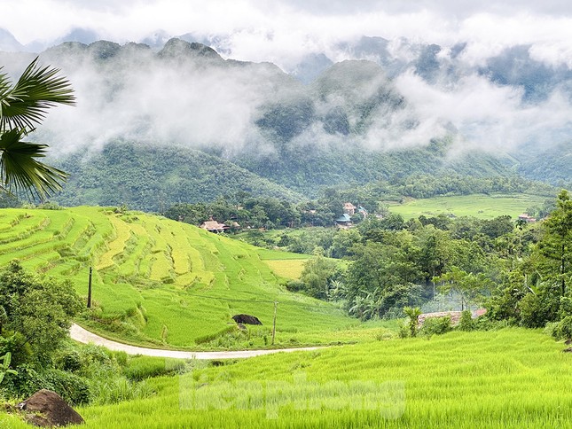 Đi săn mây ở Pù Luông, địa điểm sống ảo cho dân mê xê dịch ảnh 8