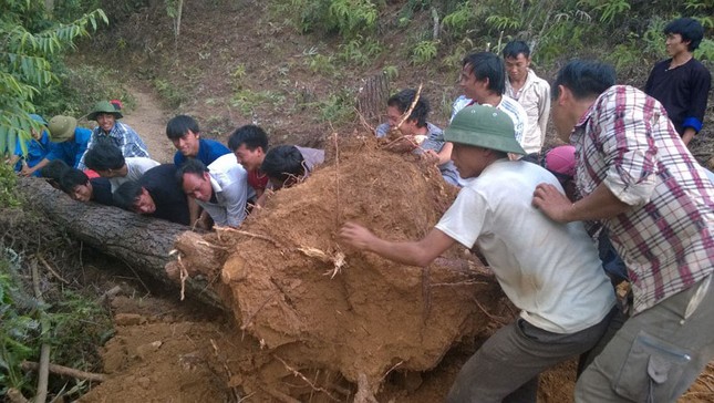 Sức trẻ Mù Cang Chải trên công trường thanh niên tình nguyện ảnh 4