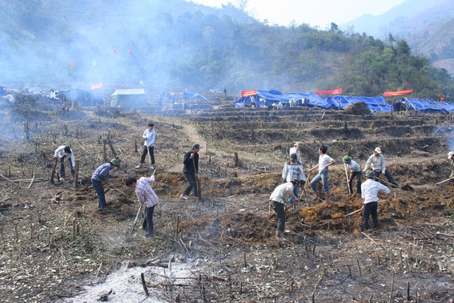 Chuyện kể ở "cánh đồng ma" ảnh 1