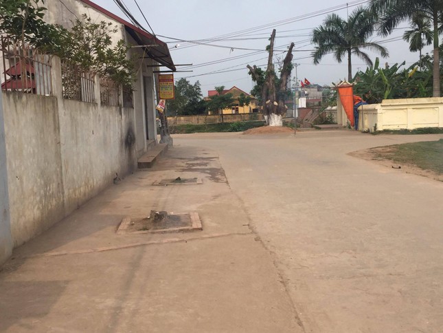 Đòi lại vỉa hè ở Hà Nội: Cây xanh có tội gì mà bị chặt? ảnh 1