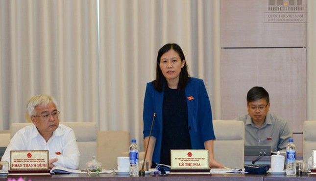 Thanh tra CP: 'Đánh thuế không phải là hợp pháp hóa tài sản bất minh' ảnh 2