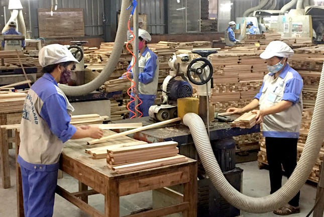 10 năm tới, Việt Nam phải trở thành trung tâm toàn cầu về đồ gỗ ảnh 1